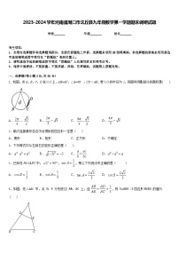 2023-2024学年河南省周口市沈丘县九年级数学第一学期期末调研试题含答案