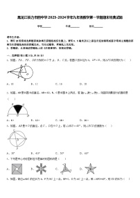 黑龙江铁力市四中学2023-2024学年九年级数学第一学期期末经典试题含答案