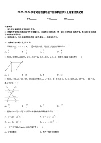 2023-2024学年河南省驻马店市新蔡县数学九上期末经典试题含答案