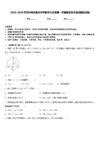 2023-2024学年泸州市重点中学数学九年级第一学期期末综合测试模拟试题含答案