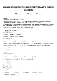 2023-2024学年浙江省杭州市杭州市萧山区高桥初级中学数学九年级第一学期期末质量检测模拟试题含答案