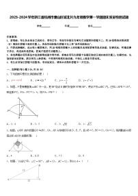 2023-2024学年浙江省杭州市萧山区城北片九年级数学第一学期期末质量检测试题含答案