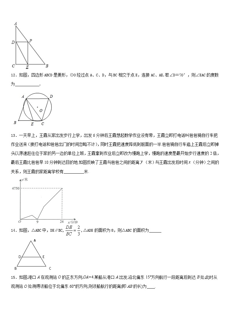 2023-2024学年浙江省台州市白云中学九年级数学第一学期期末联考试题含答案第3页