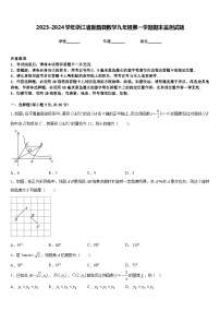 2023-2024学年浙江省新昌县数学九年级第一学期期末监测试题含答案