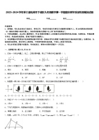 2023-2024学年浙江省杭州市下城区九年级数学第一学期期末教学质量检测模拟试题含答案