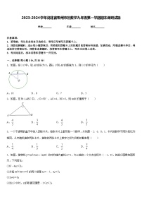 2023-2024学年湖北省鄂州市区数学九年级第一学期期末调研试题含答案