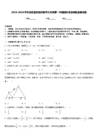 2023-2024学年湖北省恩施市数学九年级第一学期期末质量跟踪监视试题含答案