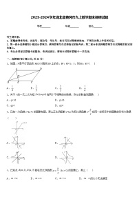 2023-2024学年湖北省黄冈市九上数学期末调研试题含答案