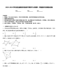 2023-2024学年湖北省黄冈市西湖中学数学九年级第一学期期末检测模拟试题含答案