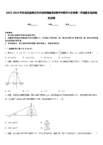 2023-2024学年湖北省黄石市还地桥镇南湾初级中学数学九年级第一学期期末监测模拟试题含答案