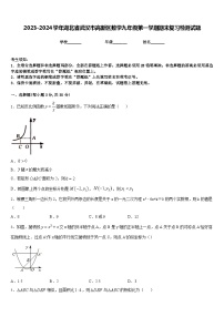 2023-2024学年湖北省武汉市高新区数学九年级第一学期期末复习检测试题含答案