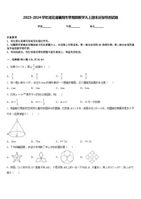 2023-2024学年湖北省襄阳市枣阳县数学九上期末达标检测试题含答案