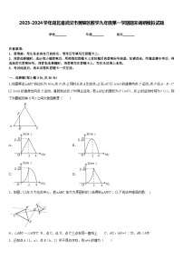 2023-2024学年湖北省武汉市黄陂区数学九年级第一学期期末调研模拟试题含答案