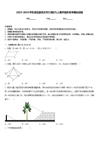 2023-2024学年湖北省武汉市江岸区九上数学期末统考模拟试题含答案