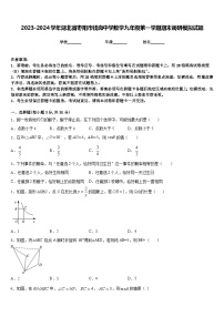 2023-2024学年湖北省枣阳市钱岗中学数学九年级第一学期期末调研模拟试题含答案