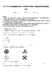 2023-2024学年湖南省株洲市第十九中学数学九年级第一学期期末教学质量检测模拟试题含答案