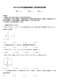 2023-2024学年湖南省双牌县九上数学期末检测试题含答案