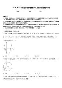 2023-2024学年湖北省枣阳市数学九上期末监测模拟试题含答案