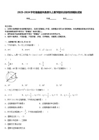 2023-2024学年湖南省凤凰县九上数学期末达标检测模拟试题含答案