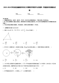 2023-2024学年湖北省襄阳市老河口市第四中学数学九年级第一学期期末检测模拟试题含答案