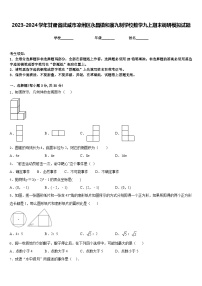 2023-2024学年甘肃省武威市凉州区永昌镇和寨九制学校数学九上期末调研模拟试题含答案