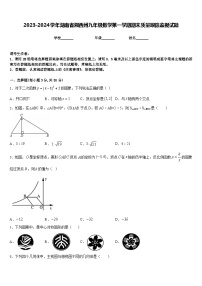 2023-2024学年湖南省湘西州九年级数学第一学期期末质量跟踪监视试题含答案