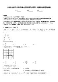 2023-2024学年湖州市重点中学数学九年级第一学期期末调研模拟试题含答案