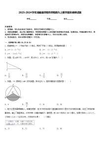 2023-2024学年湖南省邵阳市邵阳县九上数学期末调研试题含答案