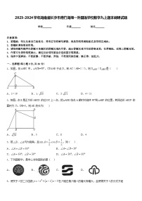 2023-2024学年湖南省长沙市青竹湖湘一外国语学校数学九上期末调研试题含答案