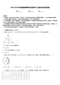 2023-2024学年湖南省郴州市名校数学九上期末综合测试试题含答案