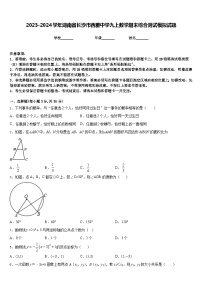 2023-2024学年湖南省长沙市西雅中学九上数学期末综合测试模拟试题含答案