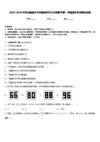 2023-2024学年湖南省长沙外国语学校九年级数学第一学期期末统考模拟试题含答案