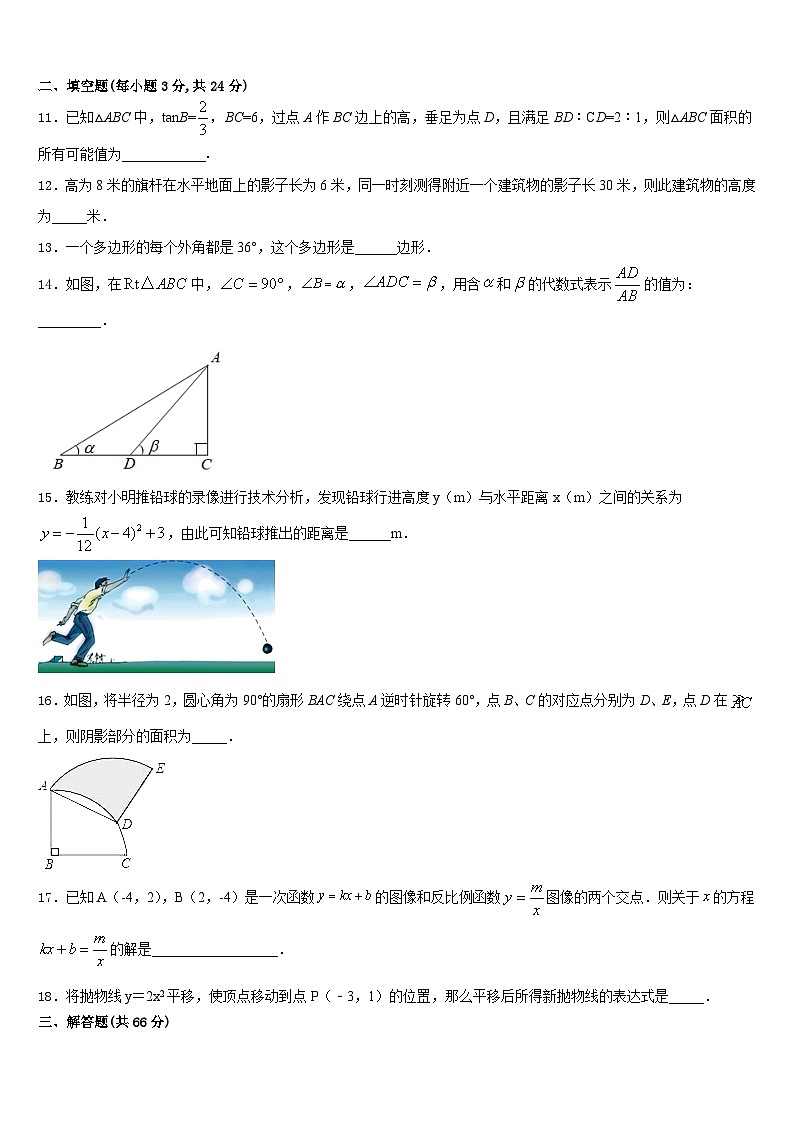 2023-2024学年福建省南平市延平区九上数学期末质量检测试题含答案第3页