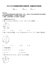 2023-2024学年福建省平潭县九年级数学第一学期期末复习检测试题含答案