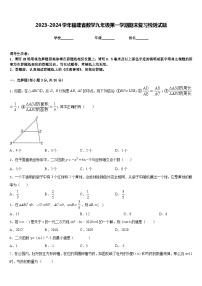 2023-2024学年福建省数学九年级第一学期期末复习检测试题含答案