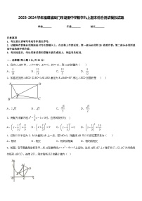 2023-2024学年福建省厦门市湖里中学数学九上期末综合测试模拟试题含答案