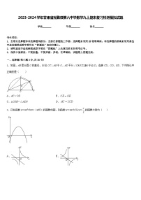 2023-2024学年甘肃省民勤县第六中学数学九上期末复习检测模拟试题含答案