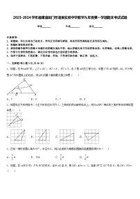 2023-2024学年福建省厦门市湖里实验中学数学九年级第一学期期末考试试题含答案