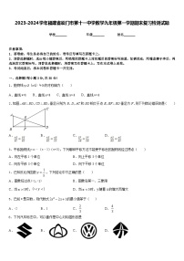 2023-2024学年福建省厦门市第十一中学数学九年级第一学期期末复习检测试题含答案