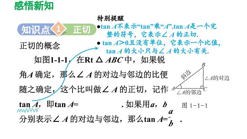 1.1 锐角三角函数 北师大版九年级数学下册导学课件第3页