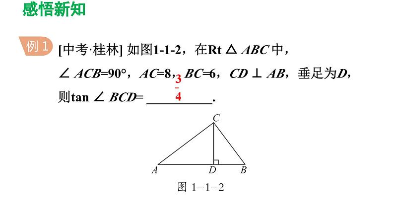 1.1 锐角三角函数 北师大版九年级数学下册导学课件第4页