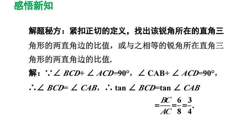 1.1 锐角三角函数 北师大版九年级数学下册导学课件第5页