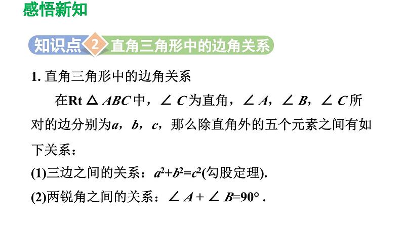 1.4 解直角三角形 北师大版九年级数学下册导学课件第8页