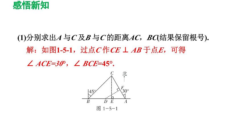 1.5 三角函数的应用 北师大版九年级数学下册导学课件第8页