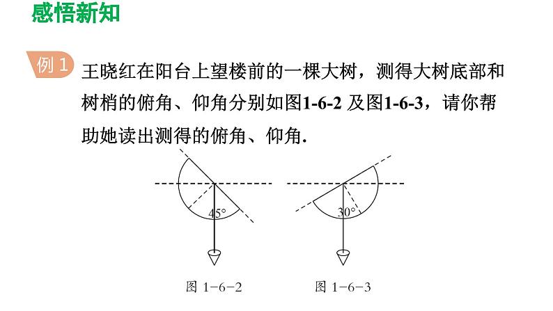 1.6 利用三角函数测高 北师大版九年级数学下册导学课件05