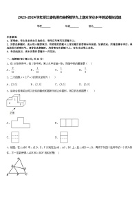 2023-2024学年浙江省杭州市高桥数学九上期末学业水平测试模拟试题含答案