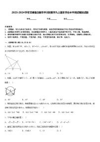 2023-2024学年甘肃省白银市平川区数学九上期末学业水平测试模拟试题含答案