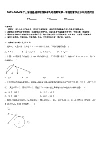 2023-2024学年山东省德州武城县联考九年级数学第一学期期末学业水平测试试题含答案