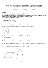 2023-2024学年山东省济南市育英中学数学九上期末学业水平测试试题含答案