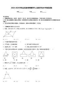 2023-2024学年山东省巨野县数学九上期末学业水平测试试题含答案